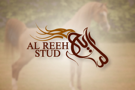 Al Reeh Stud Logo Design