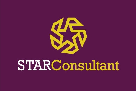 Star Consultant - Logo Design