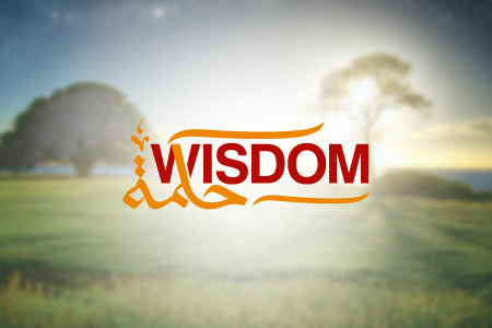 Wisdom Logo Design