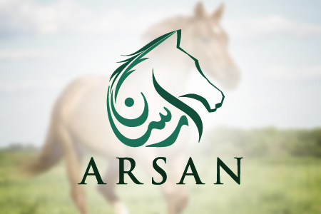 Arsan Logo Design
