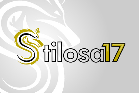 Stilosa 17 - Logo Design